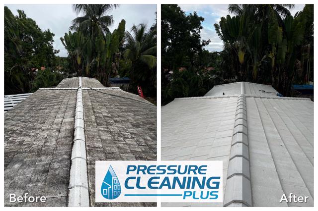 Another roof cleaning miami fl