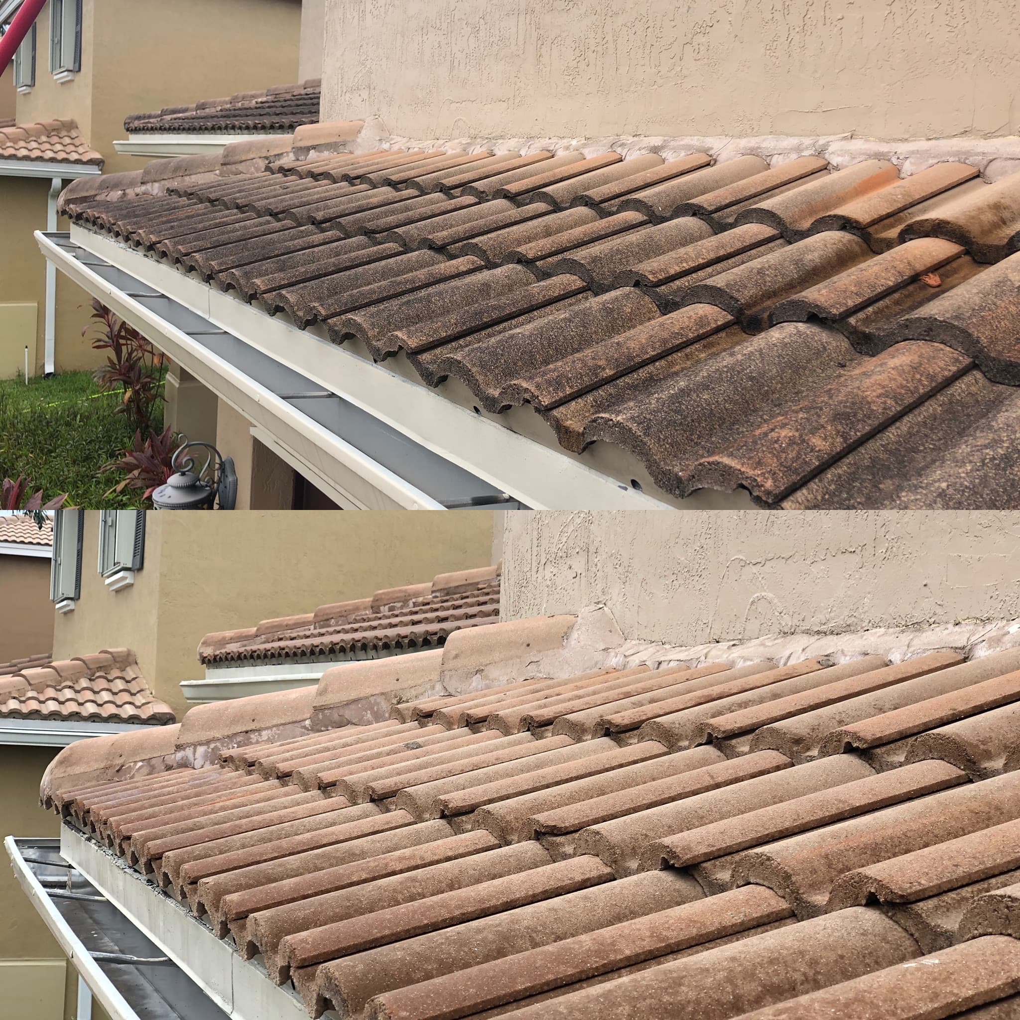 Roof cleaning