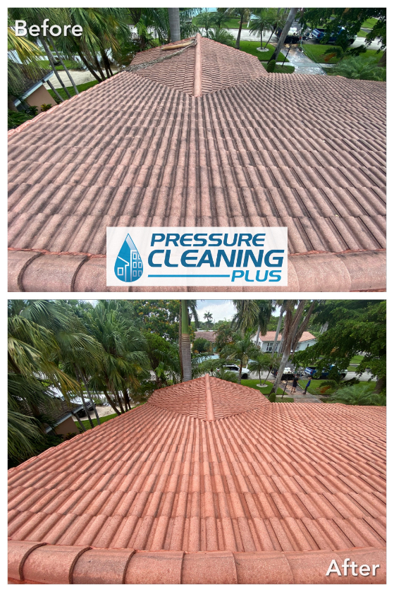 Roof cleaning miami beach florida (1)
